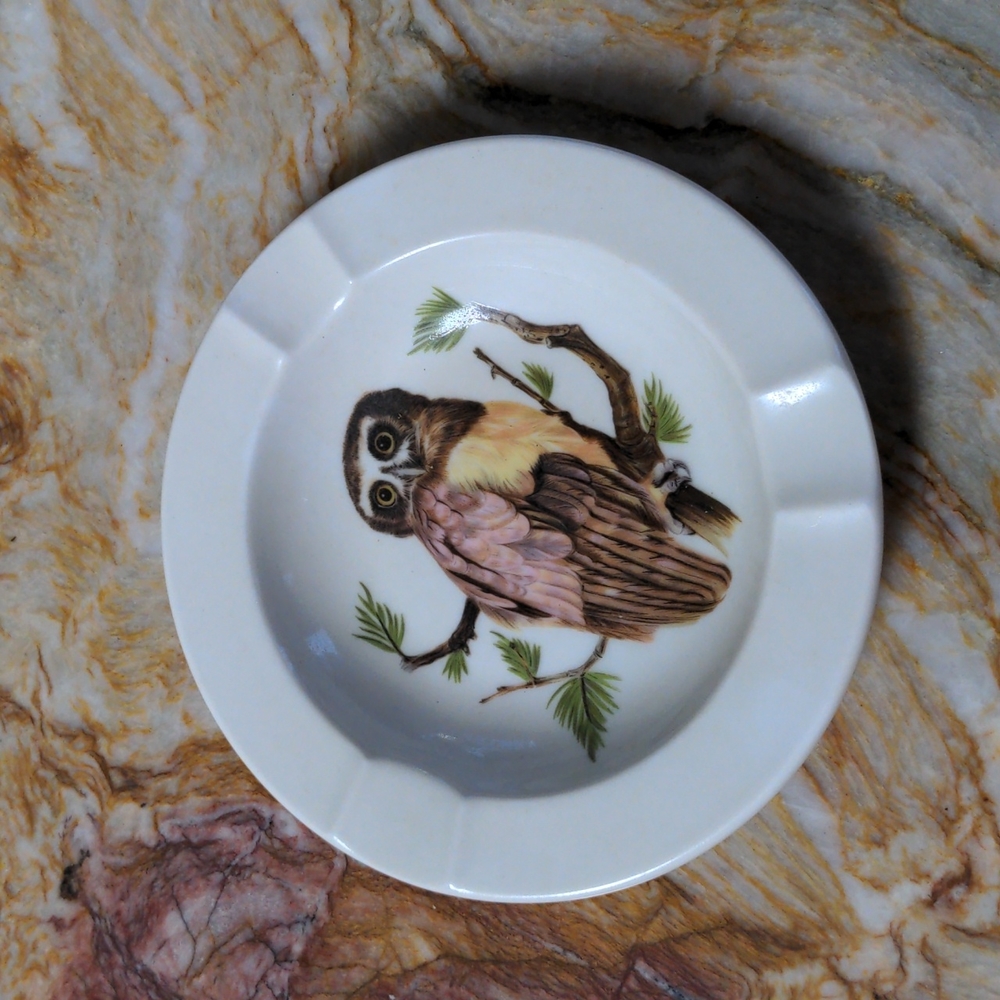 Spectacled Owl Ash tray